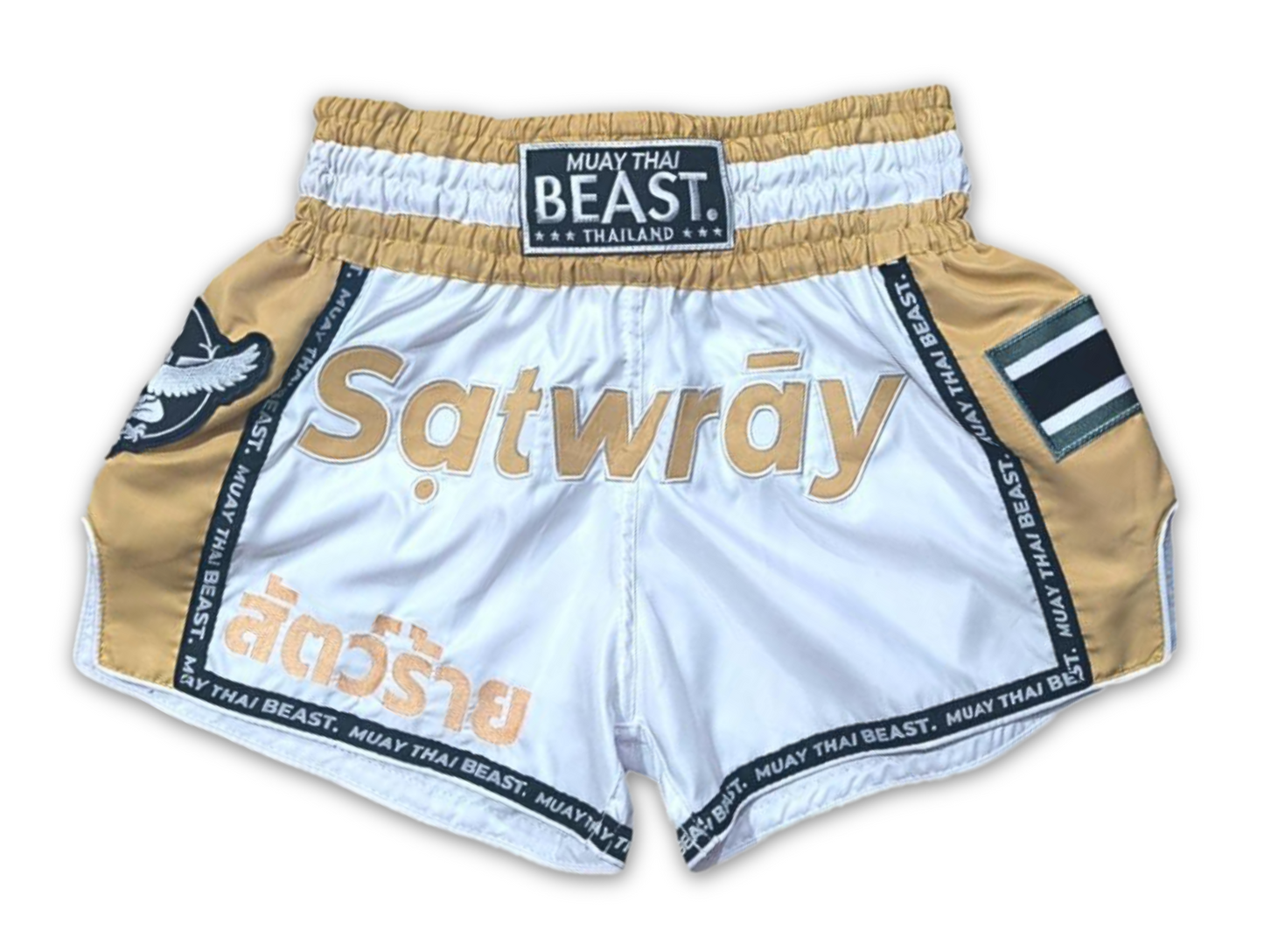 V2 Collection Muay Thai Shorts - "Champion"